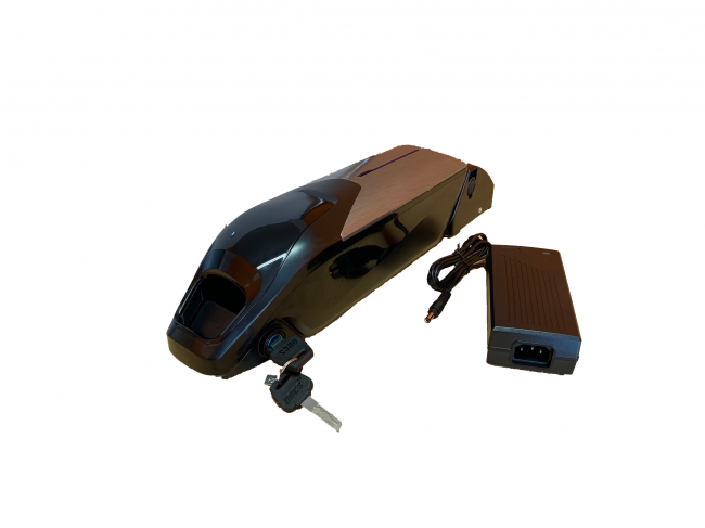 Batteria al litio 24 Volt 11,6 Ah con celle Samsung E29 con carica batterie