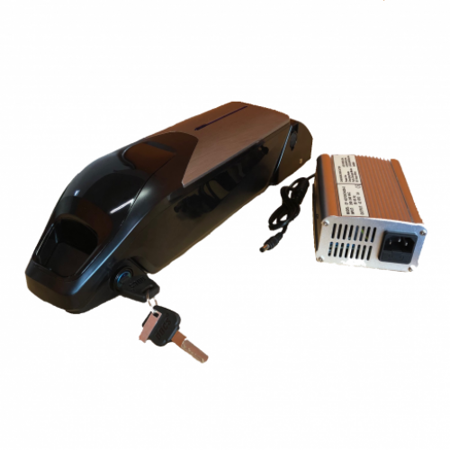 Batteria al litio 36 Volt 17,5 Ah con celle Samsung E35 con carica batterie
