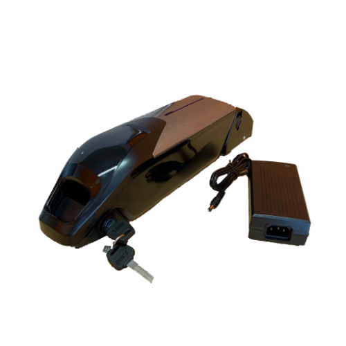 Batteria al litio 24 Volt 11,6 Ah con celle Samsung E29 con carica batterie