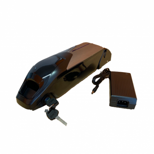 Batteria al litio 24 Volt 14,5 Ah con celle Samsung E29 con carica batterie