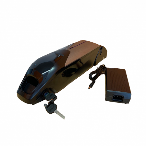 Batteria al litio 24 Volt 8,7 Ah con celle Samsung E29 con carica batterie